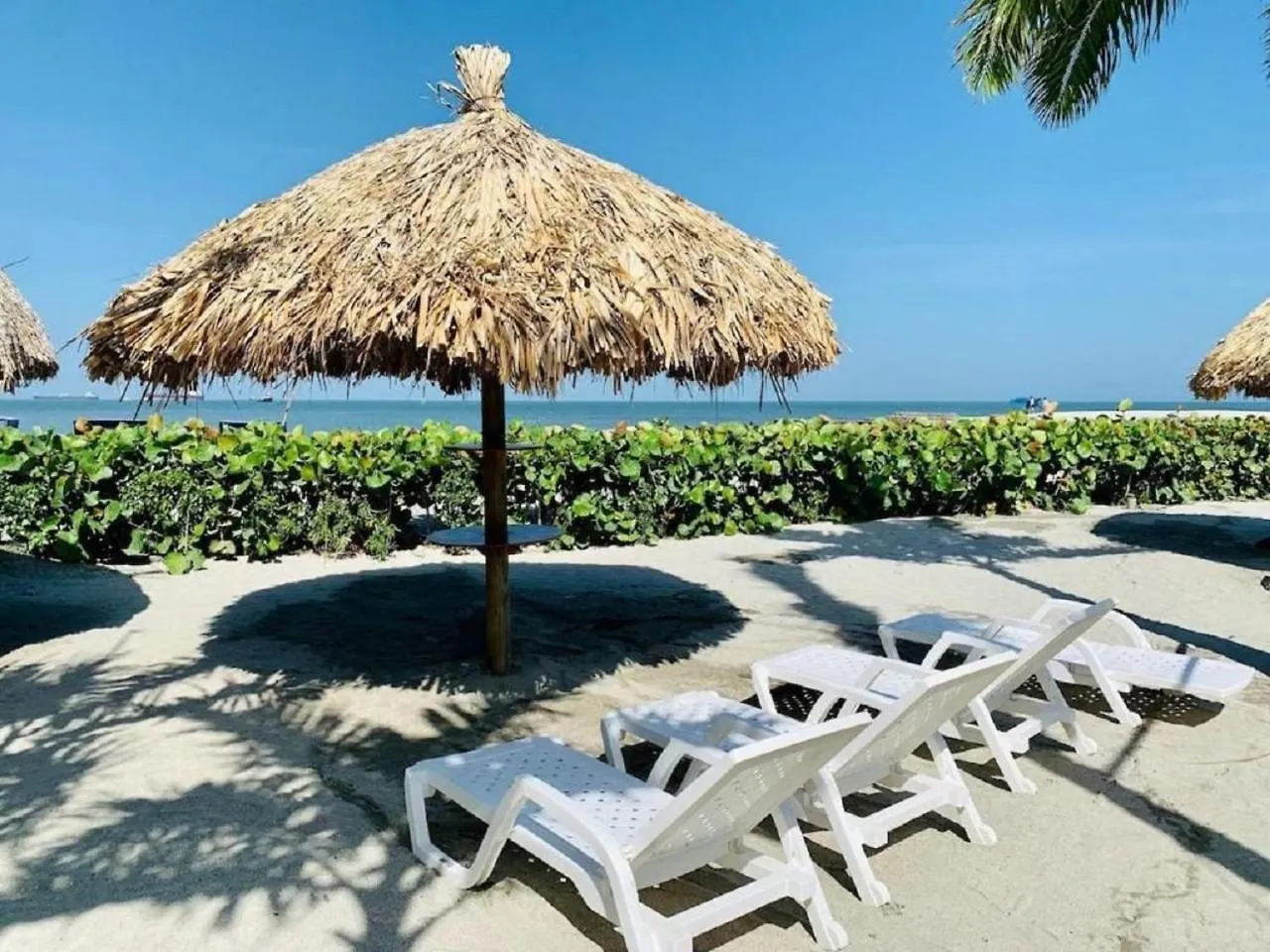 Samaria Club De Playa - Pozos Colorados - By Inmobiliaria Vs Apartment Santa Marta  Santa Marta (Magdalena)